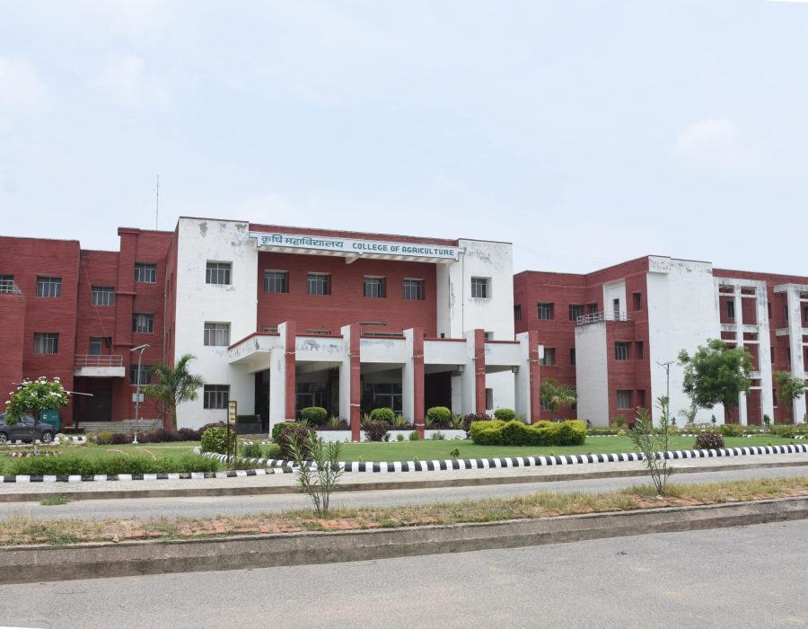 College-of-Agiculture-N-min