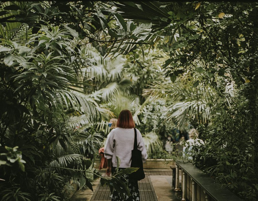 Woman, moody nature photo, aesthetic greenhouse